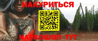 молекула духа Будённовск