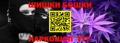 молекула духа Будённовск