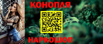 молекула духа Будённовск