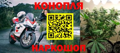 молекула духа Будённовск
