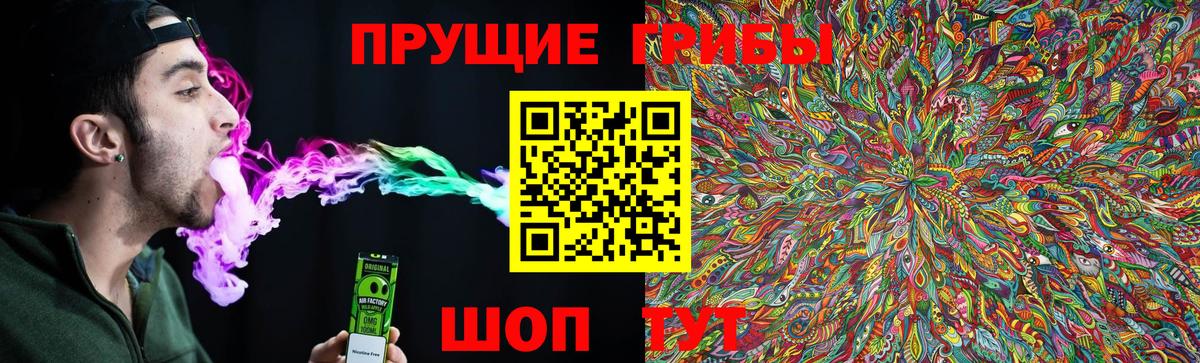 Псилоцибиновые грибы прущие грибы Кунгур